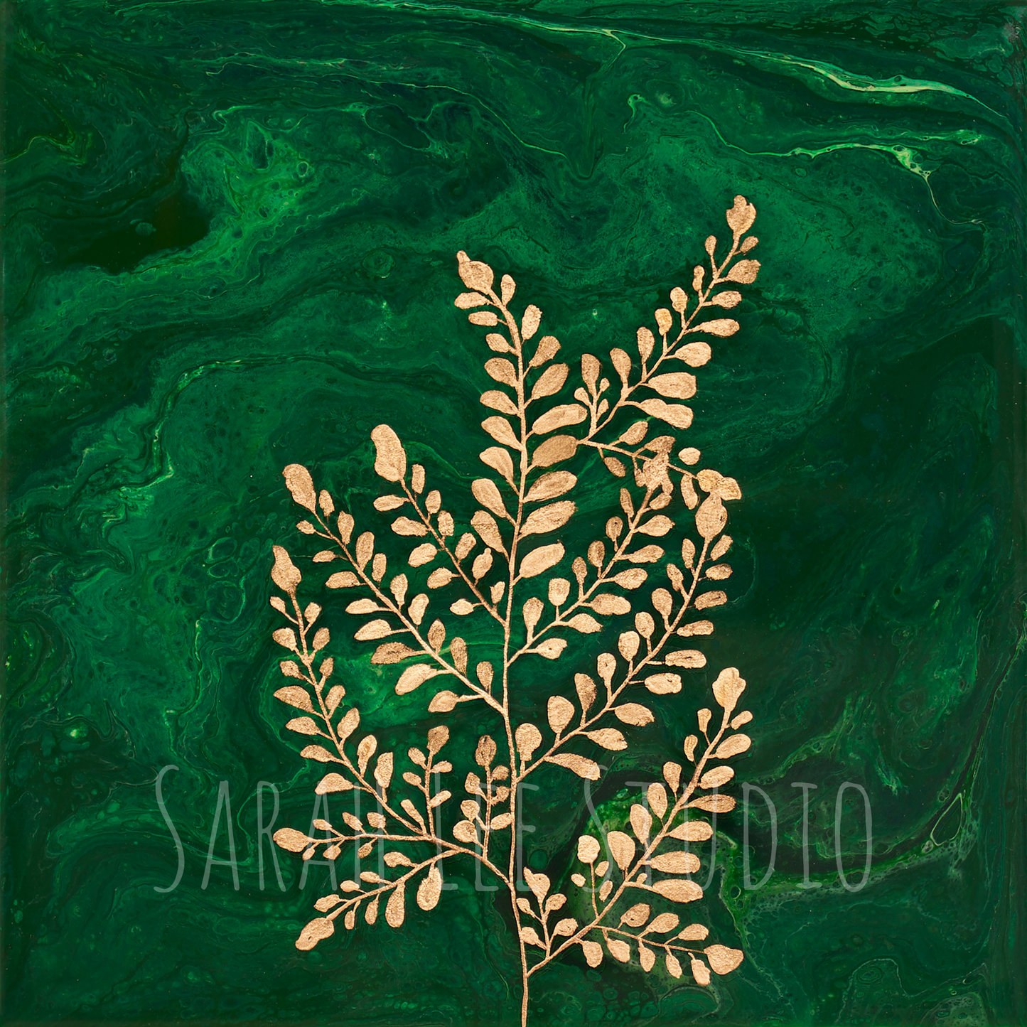 Maiden Hair Fern