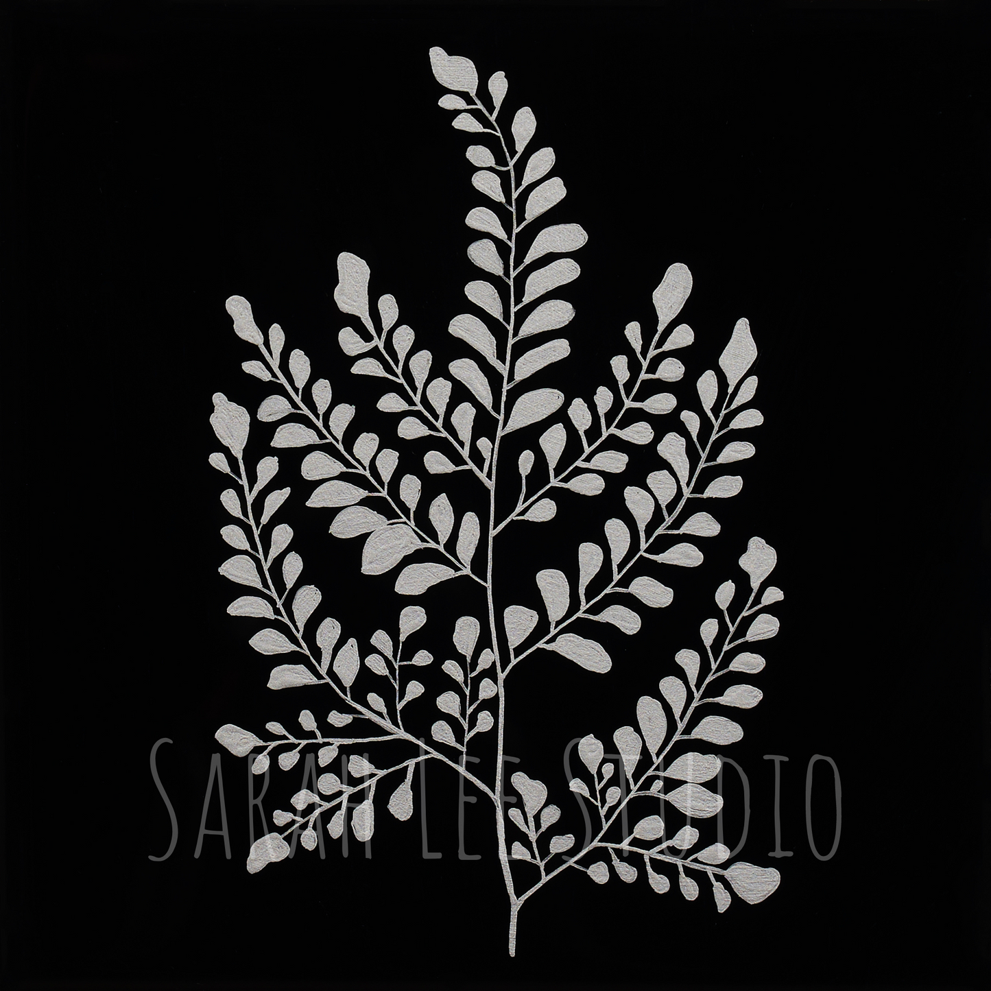 Maiden Hair Fern (Silver) Print