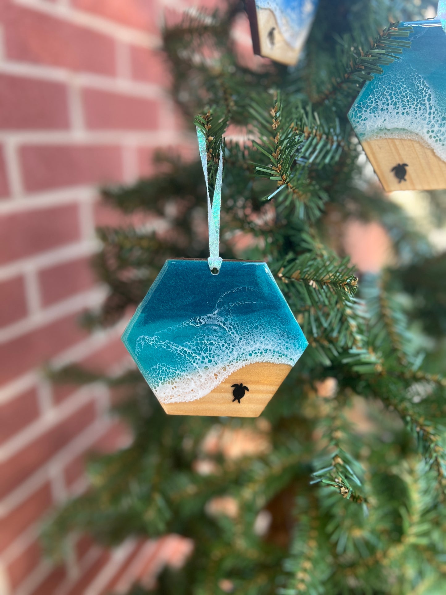 Hexagon (Year Round!) Ornaments