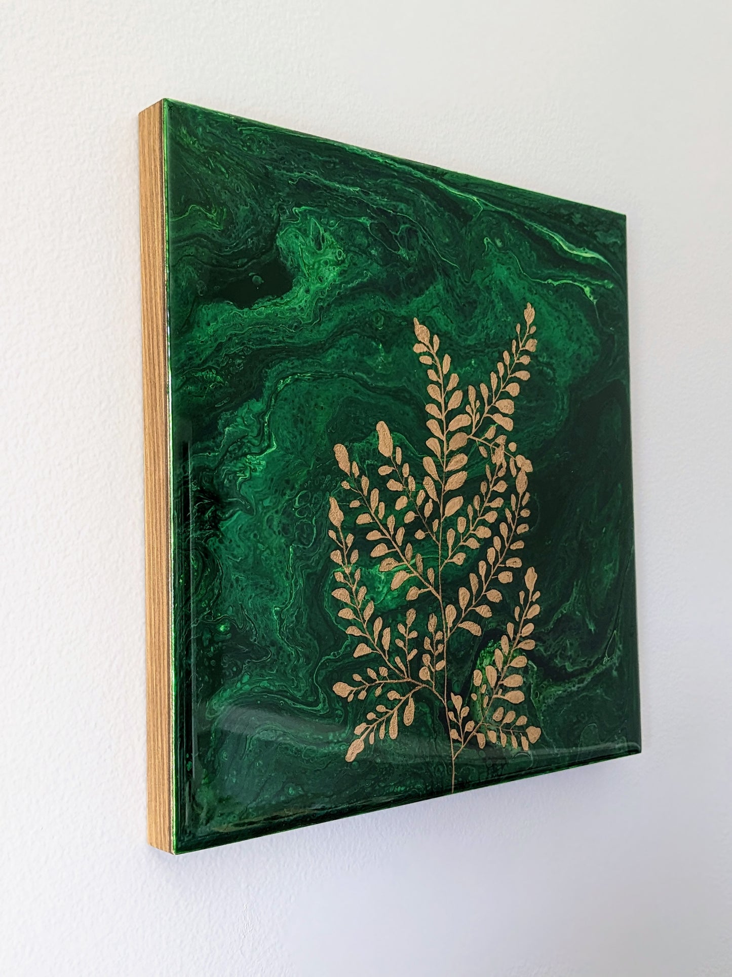 Maiden Hair Fern
