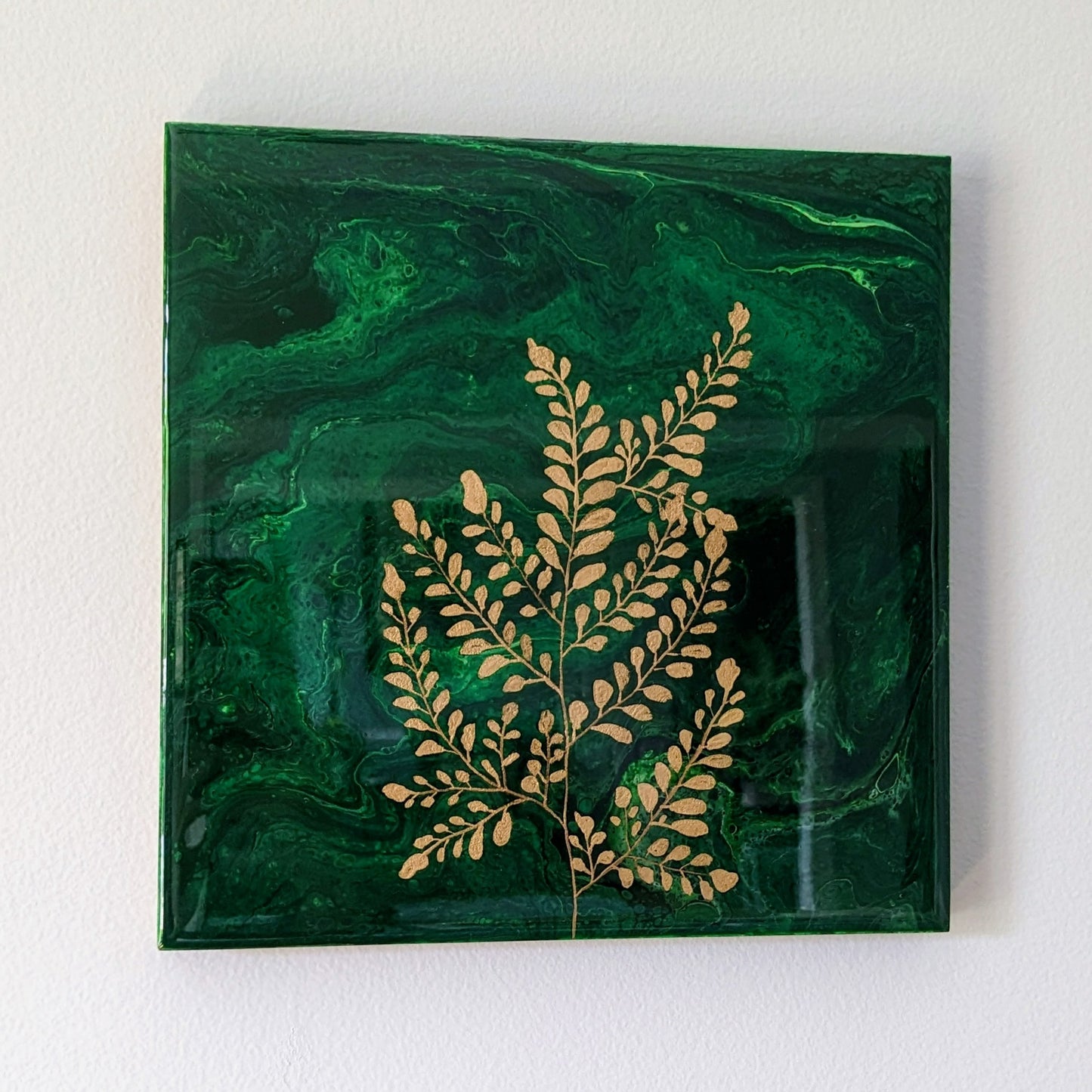 Maiden Hair Fern