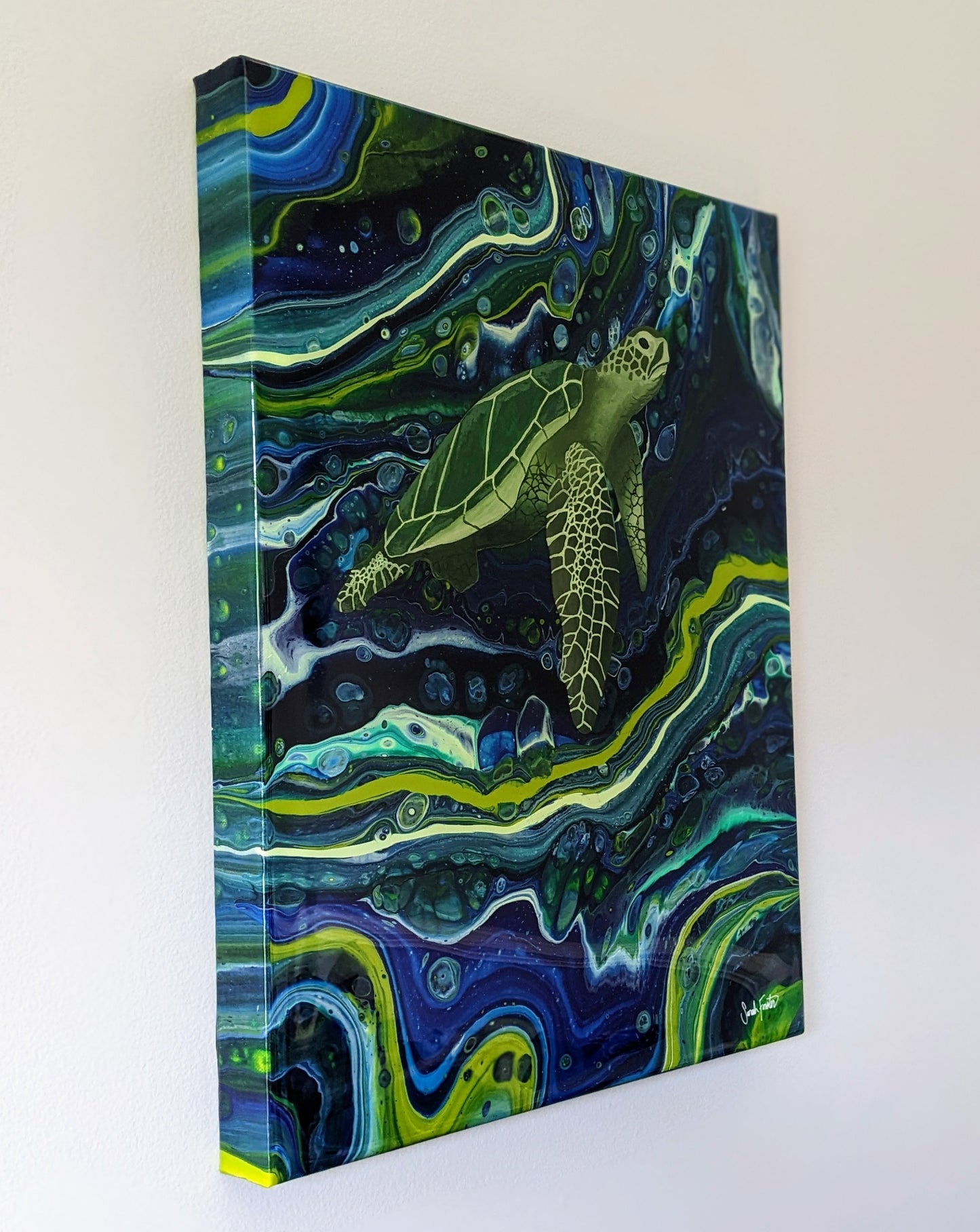 Galactic Turtle