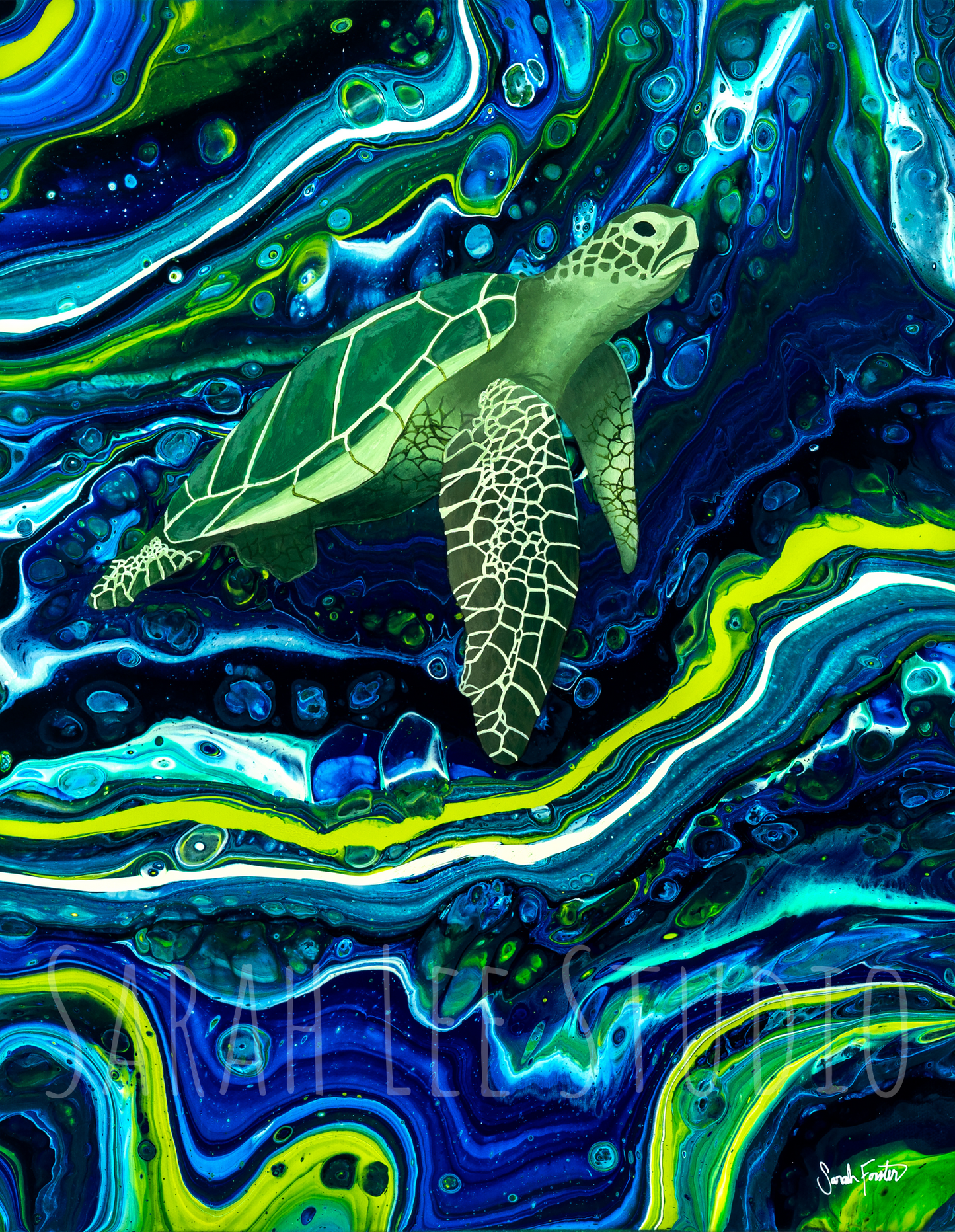 Galactic Turtle Print