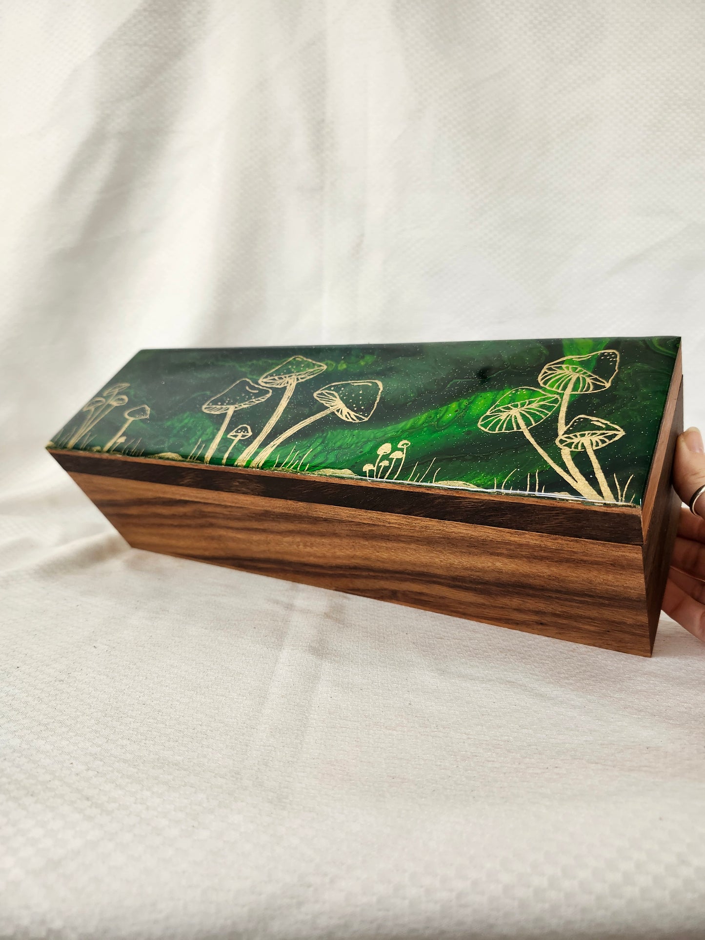 Mushroom Tea Box