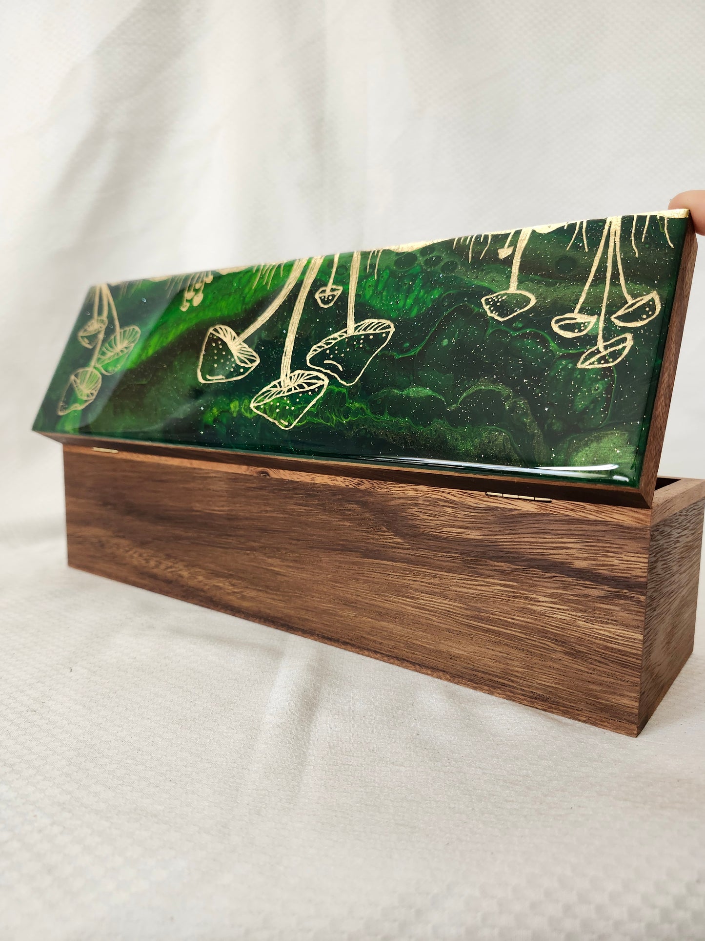 Mushroom Tea Box