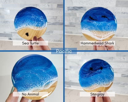Ocean Coasters