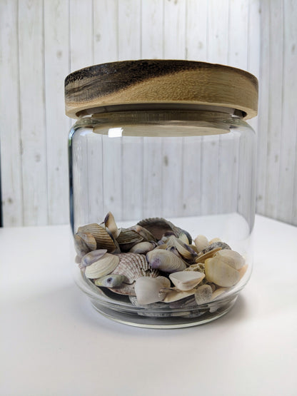 Glass Jar Pacific Blue Ocean with Crushed Shells